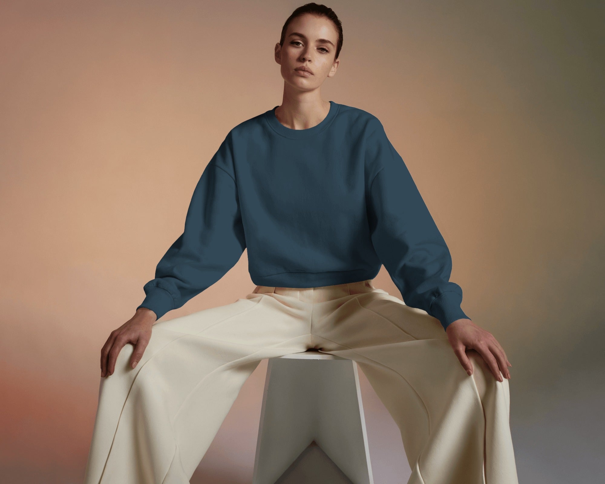 Premium Unisex Oversized Sweatshirt