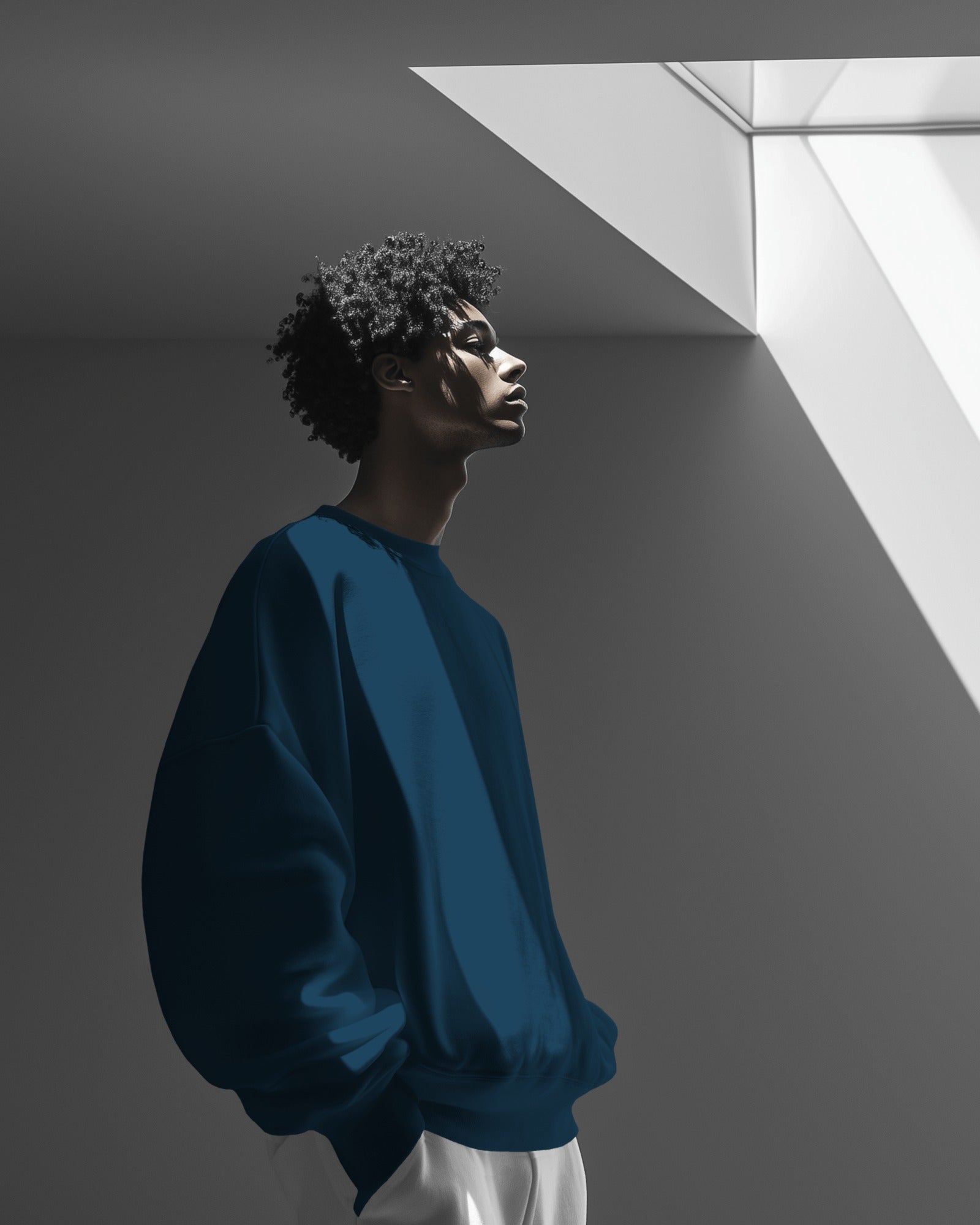Premium Unisex Oversized Sweatshirt