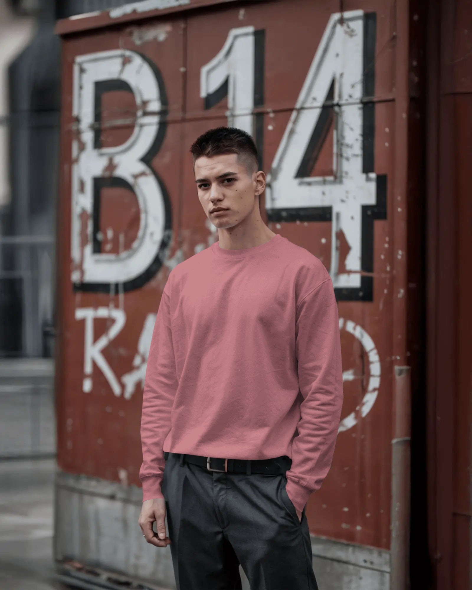 Men Unisex Sweatshirt. Wide range of colours and size upto 3XL